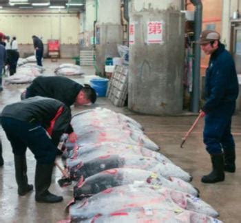 Seafood Media Group Worldnews Volumes And Prices Fresh Tuna