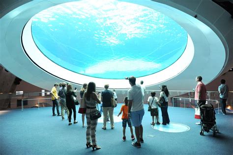 Miami’s Frost Museum of Science is on pace for 1.5M visitors in Year 1 ...