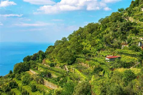 Hillside Terrace Garden