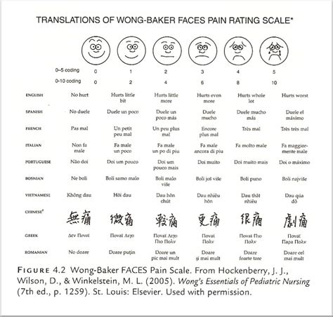 The Common Sense Guide to Improving Palliative Care : Preventing, Assessing, and Treating Pain ...