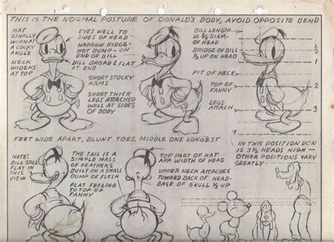 Donald Duck Model Sheet 1 Disney Concept Art Cartoon Design