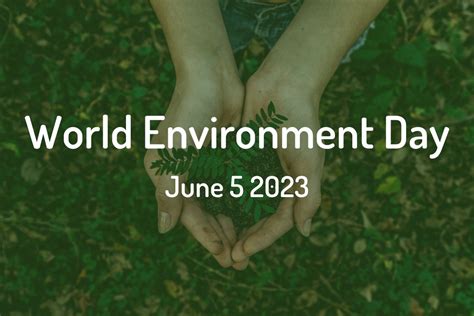 Inspiring Initiatives That Shaped World Environment Day