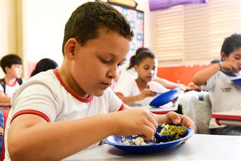 Conselheiros De Alimenta O Escolar T M At De Julho Para