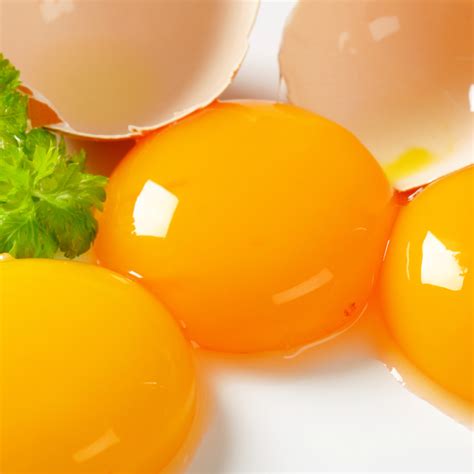 perfect egg yolk  childrens naturopath