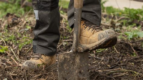 Lifting And Planting Tree Nursery Trees Moor Trees