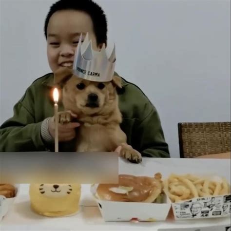 Chinese Boy Throws A Birthday Party For His New Puppy South China