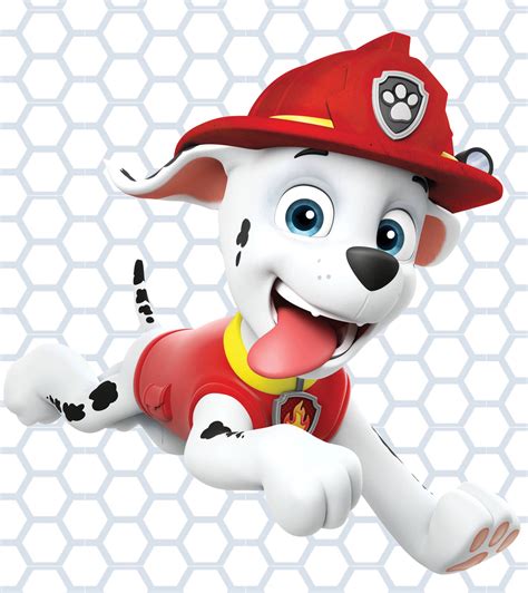 Download Paw Patrol Marshall Wallpaper