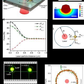 Opto Thermo Osmotic Rotation Techniques A Experimental Setup Hwp