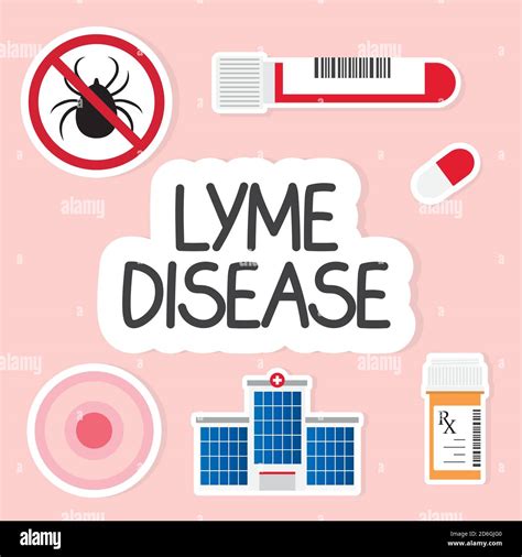 Lyme Disease Concept Vector Illustration Stock Vector Image And Art Alamy