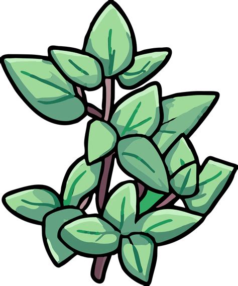 Oregano Png Graphic Clipart Design Png