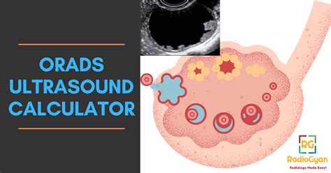 O RADS Ultrasound Calculator ACR Guidelines RadioGyan