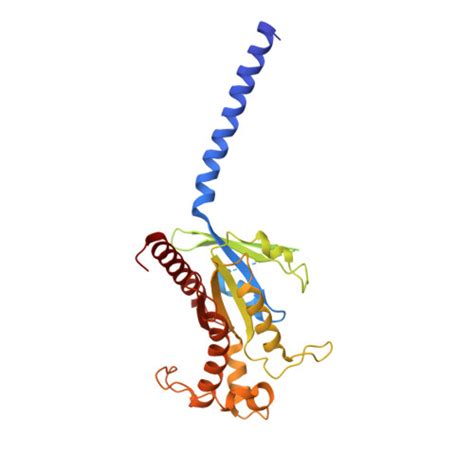 Rcsb Pdb Unx Cryoem Structure Of Beta Adrenergic Receptor In