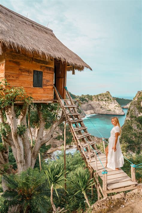 Tree House Nusa Penida Rumah Pohon Guide Raw Mal Roams