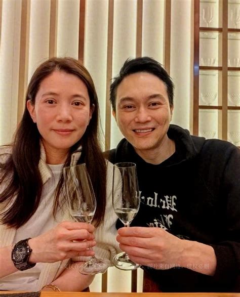 袁詠儀張智霖慶結婚22年，夫妻雙雙素顏出鏡，滿臉歲月痕跡好真實 每日頭條