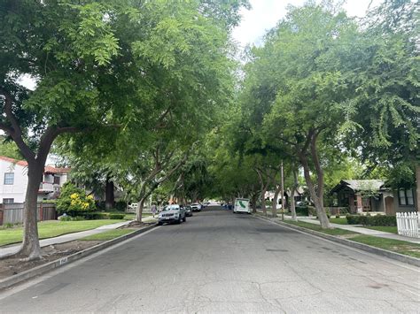 The Fresno tree cover calls for 80,000 new trees over 40 years