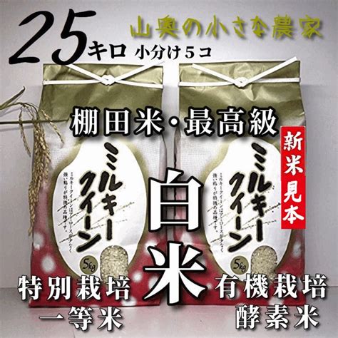 お得 令和4年新米 ミルキープリンセス 酵素米 玄米20kg 標準白米に精米 Kochi Otmainjp