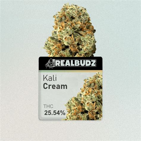 Kali Cream | 25.54% - Realbudz