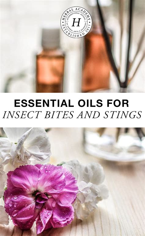 Essential Oils For Insect Bites And Stings Herbal Academy