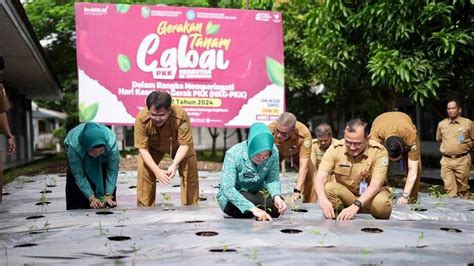 Manfaatkan Lahan Pekarangan TP PKK Sumsel Dukung Gerakan Tanam Cabai