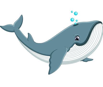 Cartoon Whale Images – Browse 141,104 Stock Photos, Vectors, and Video ...