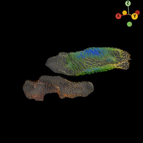 morphogenesis vector fields  trajectories spateo documentation