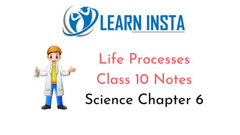 Life Processes Class 10 Notes Science Chapter 6