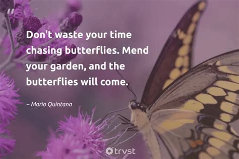 74 Beautiful Butterfly Quotes Inspiring Appreciation 2025