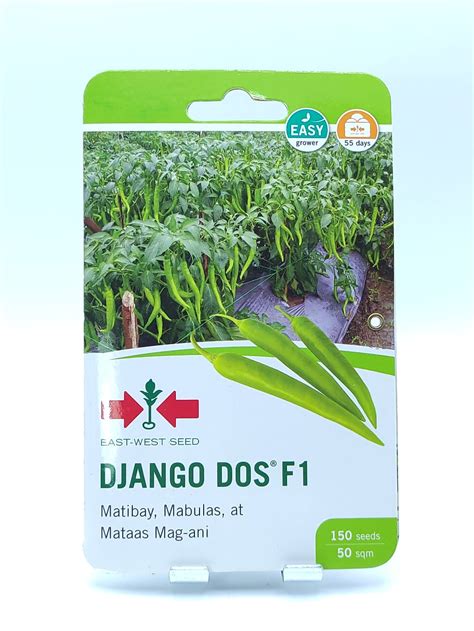 EAST WEST SEED DJANGO DOS F1 HYBRID SILING PANIGANG SEEDS POUCH 150