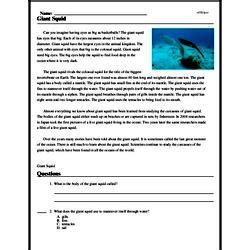 Giant Squid Reading Comprehension Worksheet Edhelper Worksheets