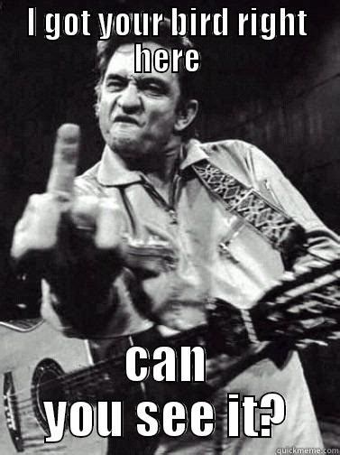 Fuck Birds Quickmeme