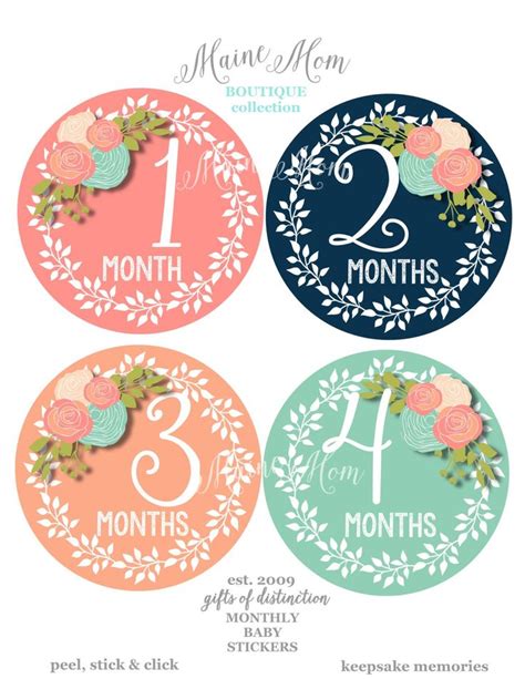 Free Ts Baby Girl Month Stickers Monthly Baby Stickers Floral