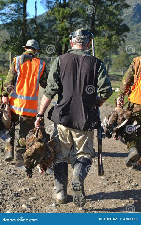 The Hunters Return Stock Image Image Of Coast Animal 31091621