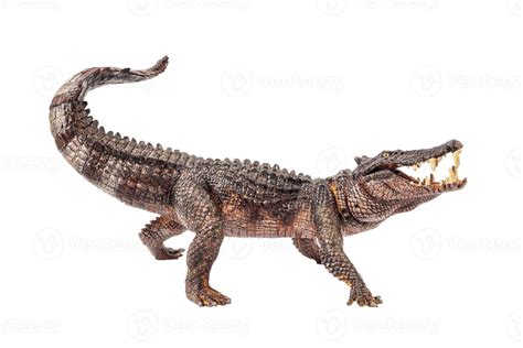 Kaprosuchus , Dinosaur on white background 6879837 Stock Photo at Vecteezy