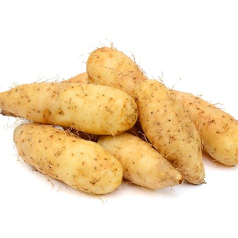 Yam Root Pe Diosgenin Dioscorea Opposita Thunb