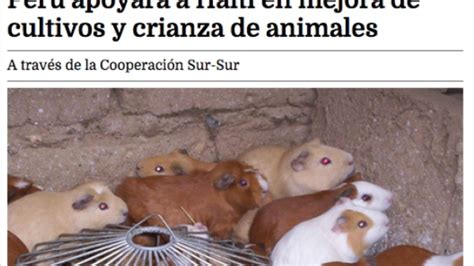 Perú apoyará a Haití en mejora de cultivos y crianza de animales