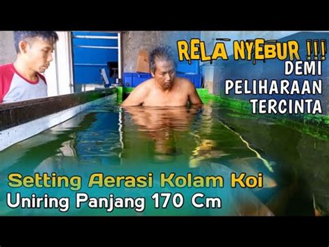 Cara Memasang Sistem Aerasi Kolam Koi Uniring Bagian Youtube