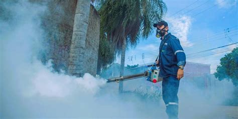 Dengue En Bolivia La Cifra De Fallecidos Sube A Y Los Casos Son M S