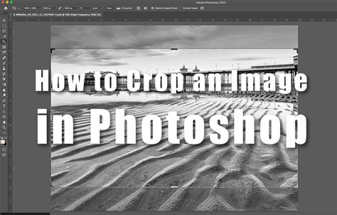 How To Crop An Image In Photoshop Lenscraft