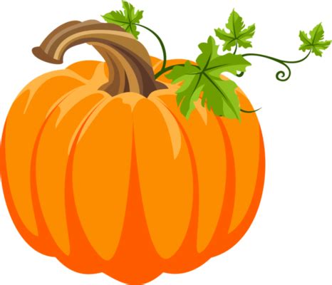 Pumpkin Patch PNGs for Free Download