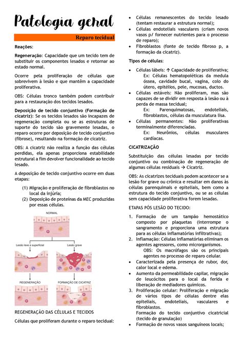 Resumo De Patologia N Reparo Tecidual Rea Es Regenera O