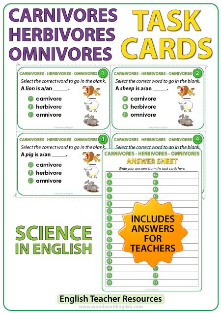 Examples Of Carnivores Herbivores And Omnivores