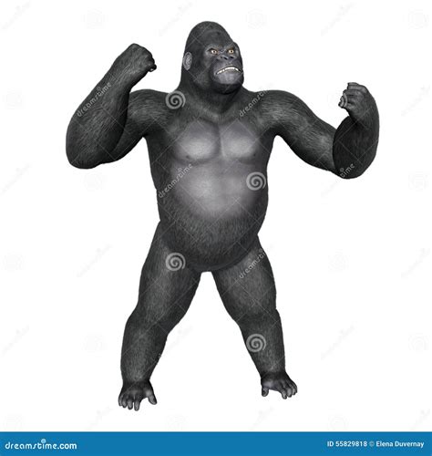 Angry Gorilla Fighting 3d Render Stock Illustration Illustration Of