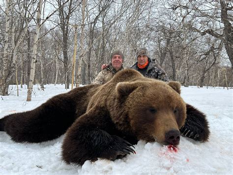 Kamchatka Brown Bear Hunts & Hunting Trips in Russia - WLHunting