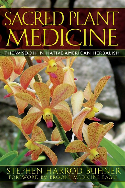 Sacred Plant Medicine The Wisdom In Native American Herbalism