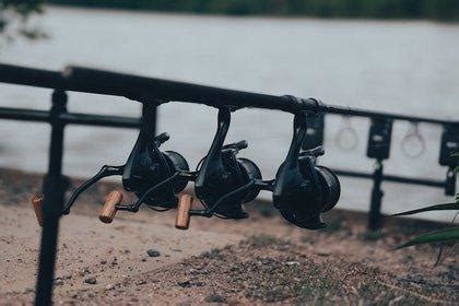 The Ultimate Guide to Carp Fishing Reels: Types, Features, and Top ...