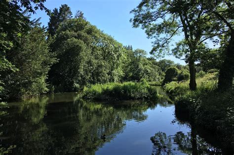 Underwater Acoustic World Of British Ponds Revealed In New Study