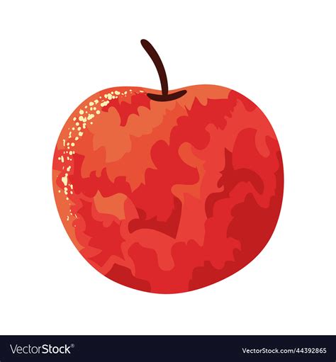 Apple fruit harvest Royalty Free Vector Image - VectorStock