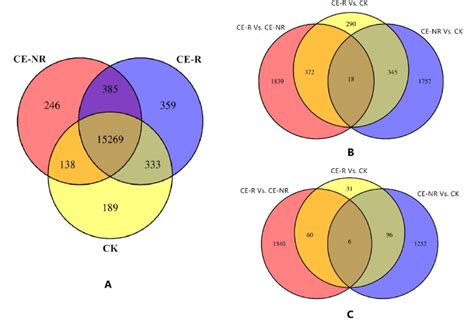 Venn Diagram Of All Genes And Differential Expression Genes Degs Download Scientific Diagram