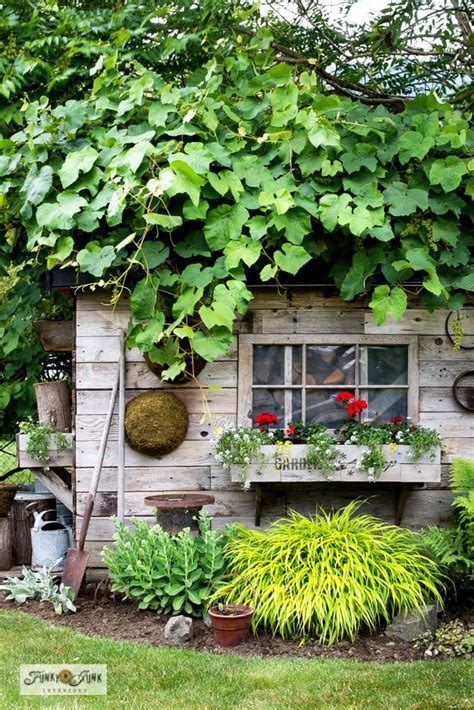 garden shed window boxes filled with flowers-003 - Funky Junk ...