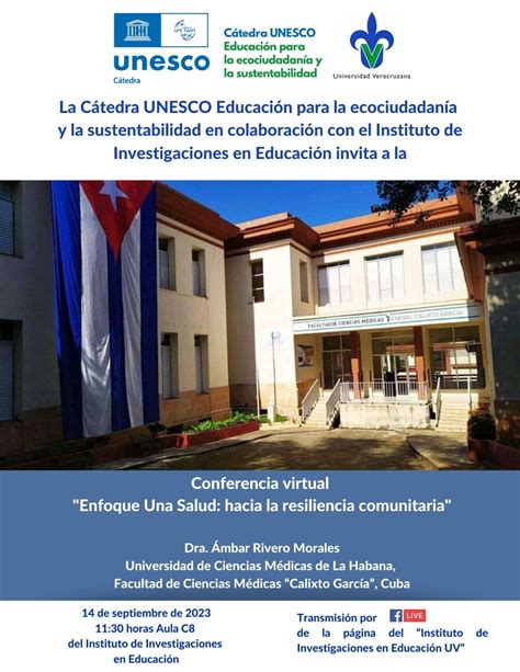 CONFERENCIA VIRTUAL Instituto de Investigaciones en Educación